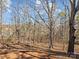 Wooded backyard with mature trees at 188 Mary Cir, Concord, NC 28025