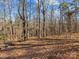 Wooded backyard offering privacy and natural beauty at 188 Mary Cir, Concord, NC 28025