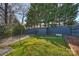 Fenced backyard with shed and grassy area at 1204 Buchanan St, Charlotte, NC 28203