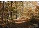 Leafy forest path featuring a scenic wooded area in the fall at 3059 Finchborough Ct # 217, Charlotte, NC 28269