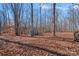 Wooded backyard with storage shed and leaf-covered ground at 5826 Boxer Dr, Iron Station, NC 28080