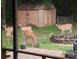 View of group of deer from home's covered porch looking into the wooded backyard at 8115 Kingsland Dr, Waxhaw, NC 28173