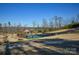 Community pickleball courts near lake, with gazebo and players at 900 Raffaelo Vw, Mount Holly, NC 28120