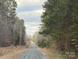 Long gravel driveway leading through a wooded area at 11270 Widenhouse Rd, Midland, NC 28107