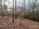 Wooded area with leaf covered ground at 11270 Widenhouse Rd, Midland, NC 28107