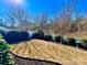 Well-maintained backyard featuring lush green hedges, privacy fence, and meticulous landscaping at 156 Carmen Way, Lancaster, SC 29720