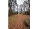 Large backyard area with leaf covered ground at 415 Sherman St, Gastonia, NC 28052