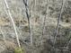 View of a creek running through the woods at 3976 Stadler Ne Dr, Conover, NC 28613