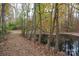 Scenic view of pond with a trees lining the water's edge surrounded by fall foliage at 2073 Mauney Rd, Bessemer City, NC 28016
