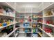 Large walk-in pantry with ample shelving for storage at 4219 Moxie Way, Charlotte, NC 28215