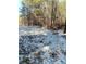 Partially snow-covered land with trees at 74 Noble Cir, Wadesboro, NC 28170