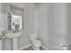 Simple bathroom with pedestal sink and toilet at 11906 Bending Branch Rd, Charlotte, NC 28227