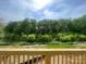Lush greenery and trees seen from a deck overlooking the serene backyard landscape at 147 Holsworthy Dr, Mooresville, NC 28115