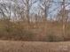View of the property's backyard showcasing the tree coverage and privacy at 3020 Graceland Cir # 11D, Pineville, NC 28134