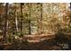 Scenic path through a wooded area with fall foliage at 5213 Mint Harbor Way # 0351, Charlotte, NC 28269