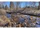 A beautiful small creek runs through this property with trees and undergrowth on either side at 724 Mercer Pl, Huntersville, NC 28078