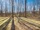 Wooded backyard with tall trees and long shadows at 9153 Leah Meadow Ln, Charlotte, NC 28227