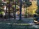 Stone pathway through a wooded backyard with colorful fall foliage at 3812 Leela Palace Way, Fort Mill, SC 29708