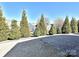 Backyard with a brick patio and surrounding green shrubbery at 8024 Carolina Lakes Way, Fort Mill, SC 29707