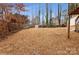 Backyard with shed and straw ground cover at 10414 Club Car Ct, Mint Hill, NC 28227