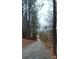 A winding path leads through a serene wooded area, creating a peaceful and inviting atmosphere at 23234 Kingfisher Dr, Indian Land, SC 29707