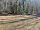 Backyard with tall trees and grassy area at 2704 Kool Park Ne Rd, Hickory, NC 28601