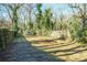 A large yard with a shed at 3724 Commonwealth Ave, Charlotte, NC 28205