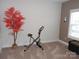 Small room with exercise bike and artificial tree at 106 Milliner Dr # 97, Troutman, NC 28166