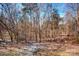 Wooded backyard with mature trees and light snow cover at 8622 Lower Rocky River Rd, Concord, NC 28025