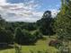 Serene landscape, lush green pasture with trees and cloudy sky at 1262 Ring Tail Rd, Claremont, NC 28610