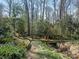 Picturesque backyard with a charming footbridge surrounded by lush greenery at 3041 Valencia Ter, Charlotte, NC 28211