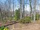 Landscaped backyard with mature trees and view of the brick home at 3041 Valencia Ter, Charlotte, NC 28211