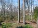 Backyard with mature trees, lush greenery, and partial view of the home at 3041 Valencia Ter, Charlotte, NC 28211