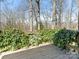 View of a wood deck, mature landscaping, and a wooded backdrop at 3041 Valencia Ter, Charlotte, NC 28211