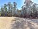 Large grassy backyard surrounded by trees and ready for outdoor enjoyment at 5057 Spratt Rd, York, SC 29745