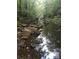 Serene creek flows through lush woods at 3196 Stonemill Path, Sherrills Ford, NC 28673