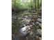 Peaceful creek winds through wooded area at 3196 Stonemill Path, Sherrills Ford, NC 28673