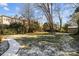 Large backyard with a path, mature trees, and plenty of green space at 4419 Halstead Dr, Charlotte, NC 28209