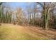 Wooded backyard with a grassy area at 522 State St, Lincolnton, NC 28092