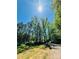 Scenic driveway leading to a home surrounded by tall trees and a clear blue sky at 395 Paulownia Dr, China Grove, NC 28023
