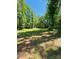 Scenic lot offers ample space for building amidst a private, wooded setting and abundant natural light at 395 Paulownia Dr, China Grove, NC 28023