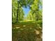Expansive lot featuring mature trees and lush landscaping offering privacy and beautiful natural surroundings at 395 Paulownia Dr, China Grove, NC 28023