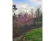 A serene backyard featuring a flowering tree and a stylish fence, creating a peaceful outdoor space at 2012 Orby Ave, Indian Trail, NC 28079