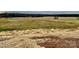 Property view showing surrounding land and fields at 2906 Lathan Rd, Monroe, NC 28112