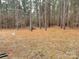 Wooded backyard with tall pine trees surrounding the property at 1194 Great Falls Hwy, Chester, SC 29706