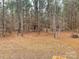 Wooded backyard with a clearing behind the house at 1194 Great Falls Hwy, Chester, SC 29706