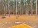 View of the backyard showing a wooded area at 1194 Great Falls Hwy, Chester, SC 29706