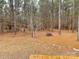 View from deck shows a wooded backyard with tall trees at 1194 Great Falls Hwy, Chester, SC 29706