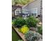 Landscaped garden with colorful flowers and stone border at 19411 Greentree Way, Cornelius, NC 28031