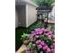 Landscaped side yard with hydrangeas and artificial turf at 19411 Greentree Way, Cornelius, NC 28031
